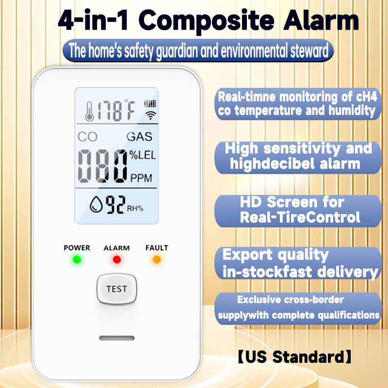 4 In 1 Gas Detector Carbon Mon - огляд і ціна Co Detector Plug